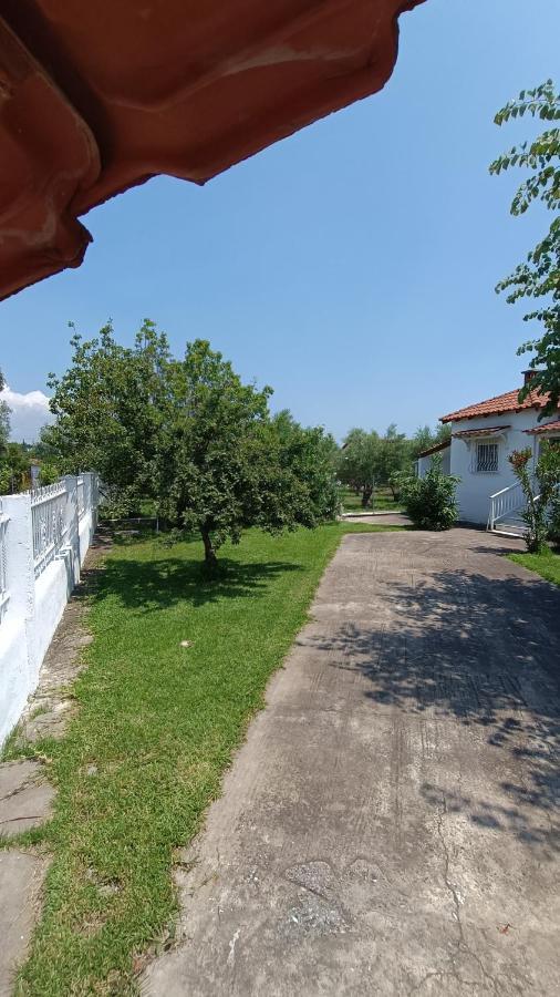Vasiliki'S Guest House Vergia Exterior photo